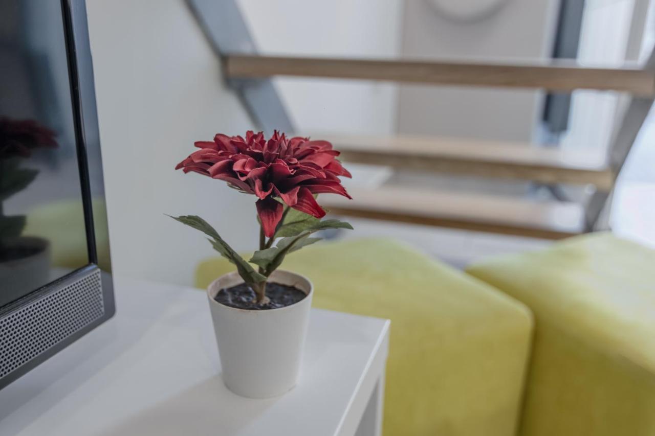 Urban Apartments PUY מראה חיצוני תמונה